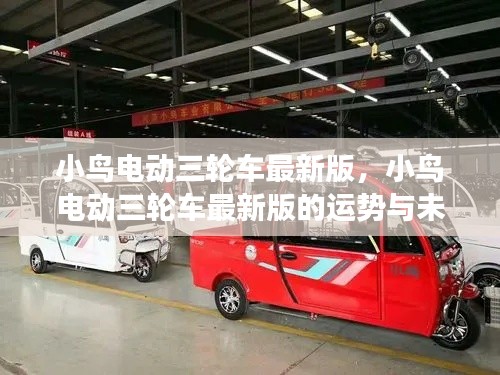 小鸟电动三轮车最新版,展望运势与未来发展趋势