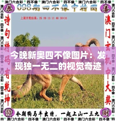 今晚新奥四不像图片:发现独一无二的视觉奇迹