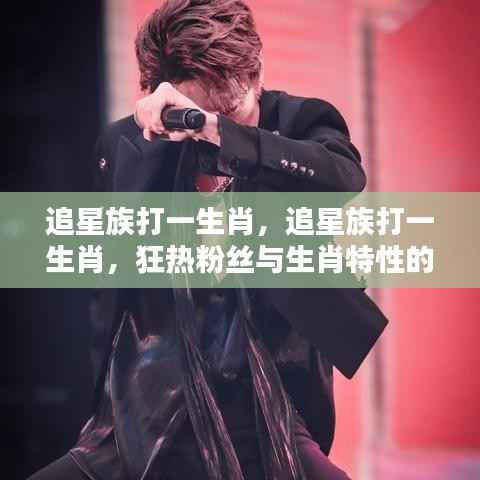 追星族与生肖的狂热融合,粉丝狂热与生肖特性的完美体现