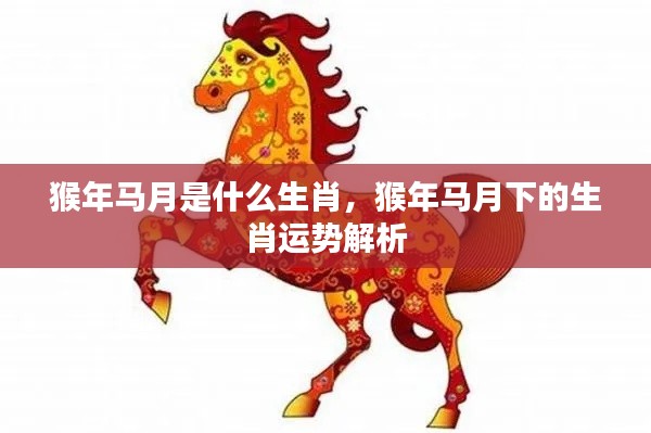 猴年马月下的生肖运势深度解析与解析猴年马月属于什么生肖