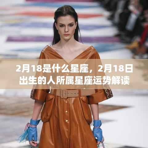 2月18日出生者的星座运势解读,探寻属于你的星座特性与运势之道
