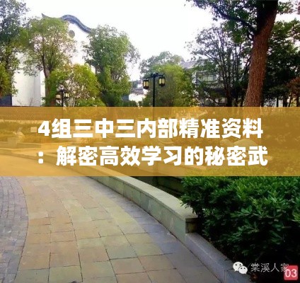 4组三中三内部精准资料:解密高效学习的秘密武器