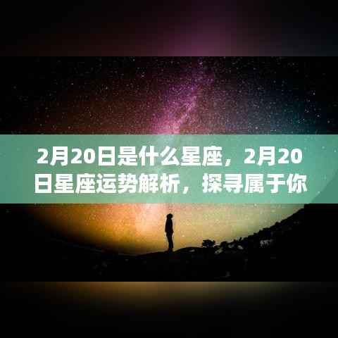 2月20日星座运势揭秘,探寻属于你的星座奥秘