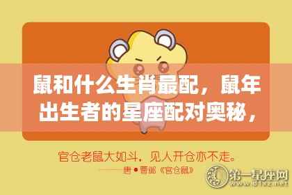 生肖鼠的最佳情缘,星座配对与生肖奥秘探索