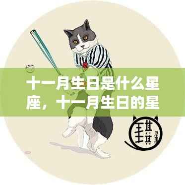 十一月生日星座运势深度解析,探寻星座奥秘,揭秘十一月运势走向