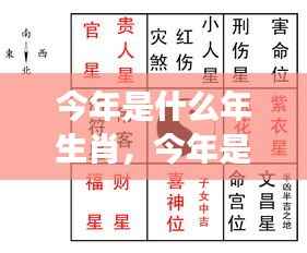 今年生肖运势解析,运势走向及生肖年份解读