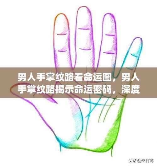 男人手掌纹路揭示命运密码,手纹与命运图的深度解读奥秘