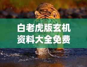 白老虎版玄机资料大全免费:探索独特视角下的免费资源宝藏