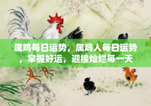 属鸡人的每日运势展望,把握好运势,迎接美好每一天