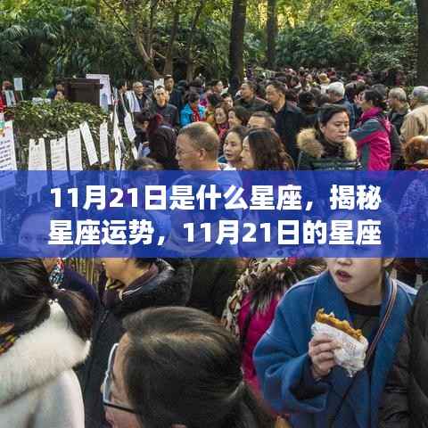 揭秘11月21日星座特征,星座运势大解析