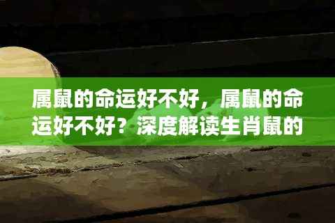 属鼠命运深度解析,生肖鼠的运势走向探讨与解读