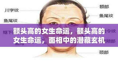 额头高的女生命运,面相中的潜藏玄机与人生轨迹揭秘