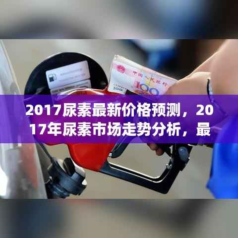 2017年尿素市场走势分析与最新价格预测