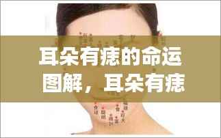 耳朵痣相奥秘揭秘,图解命运与星相交融的痣相奥秘