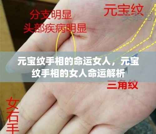 元宝纹手相解析,女性命运中的财富与人生轨迹