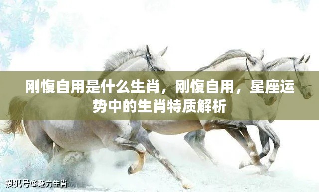 刚愎自用与生肖,星座运势中的生肖特质深度解析