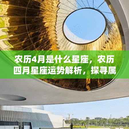 农历四月星座运势解析,探寻属于你的星辰轨迹,把握星座运势动态