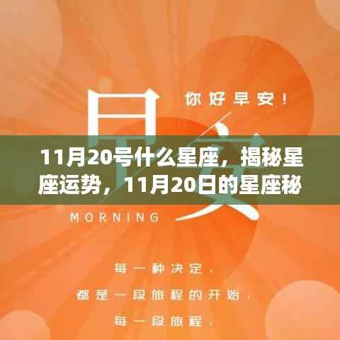揭秘星座运势,11月20日的星座秘密揭晓
