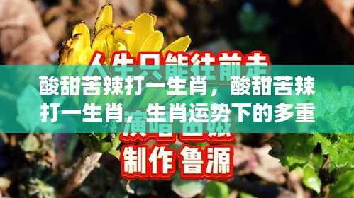 独出新裁 第4页