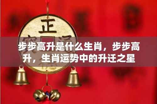 步步高升,揭秘生肖运势中的升迁之星