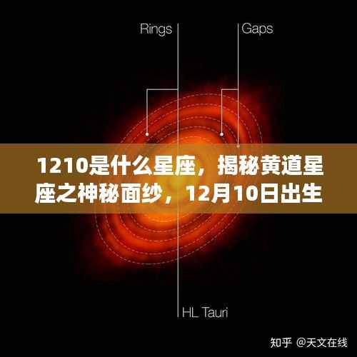 揭秘黄道星座之神秘面纱,揭秘12月10日出生者的星座运势解析及星座属性解读。