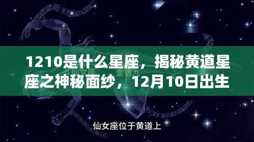 揭秘黄道星座之神秘面纱,揭秘12月10日出生者的星座运势解析及星座属性解读。