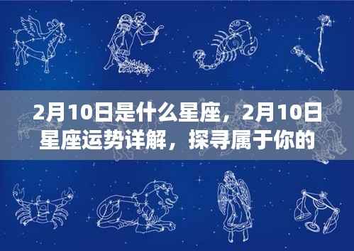 2月10日星座运势揭秘,探寻属于你的星座奥秘