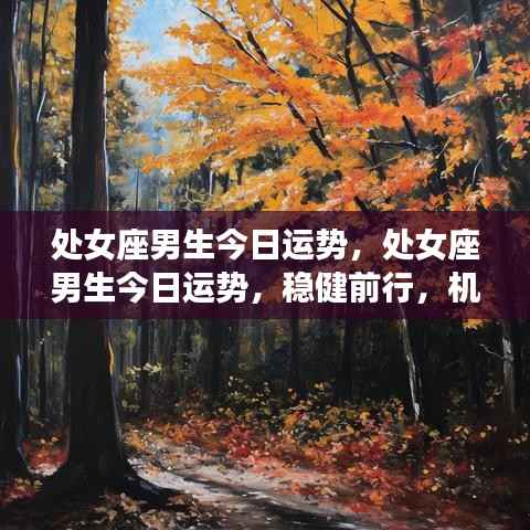 处女座男生今日运势,稳健前行,机遇与挑战并存