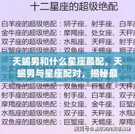 揭秘天蝎男最佳星座配对,寻找爱情完美组合