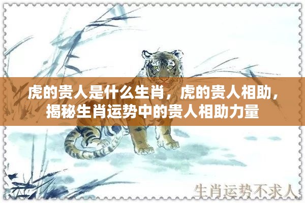 揭秘生肖虎贵人相助的神秘力量,贵人属相全解析
