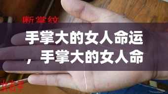 手掌大的女人命运,掌纹奥秘揭示人生轨迹