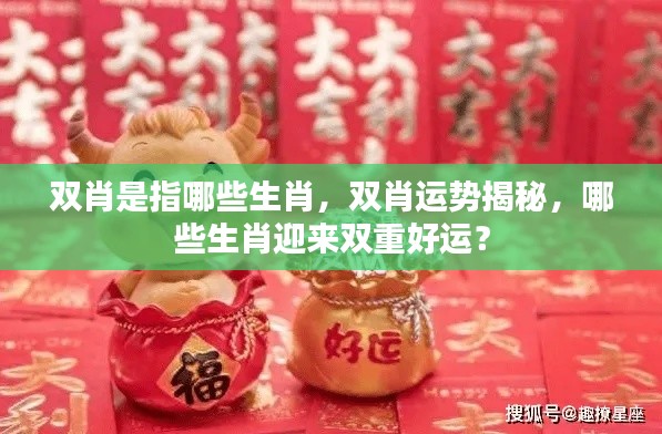 双肖运势揭秘,哪些生肖迎来双重好运?全面解析双肖生肖特征!