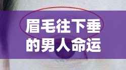眉毛往下垂的男人的命运解析,面相揭示未来?