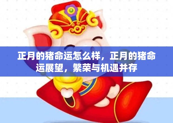 正月的猪命运展望,繁荣与机遇并存,展望命运展望之路