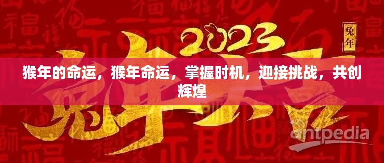 猴年命运展望,把握时机迎接挑战,共创辉煌未来