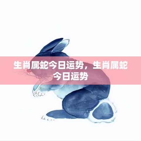 生肖属蛇今日运势详解