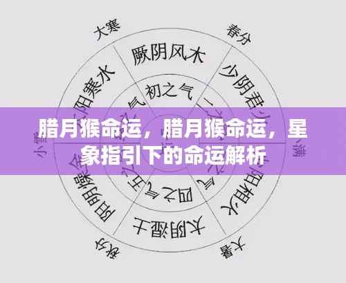 腊月猴的命运解析,星象指引下的命运探索