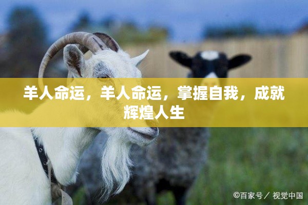 羊年出生者的命运解析与自我成就之道,羊人命运掌握,辉煌人生可期