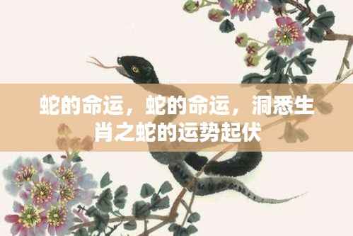 生肖蛇运势大揭秘,洞悉命运起伏,掌握未来走向