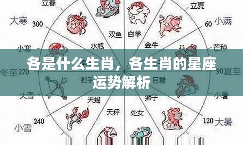 生肖与星座运势解析,探索生肖与星座的奥秘