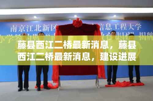 鸡飞狗跳 第3页