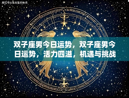 双子座男今日运势,活力挑战并存,机遇与风险同行