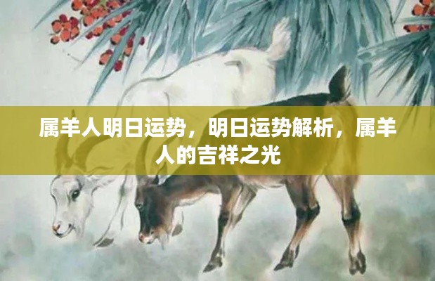 明日运势解析,属羊人的吉祥之光展望