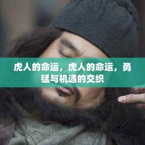 虎人命运,勇猛与机遇的碰撞