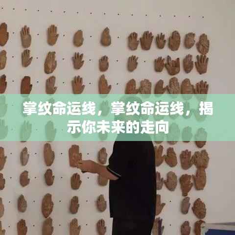 掌纹命运线揭秘,揭示你未来的走向与命运轨迹