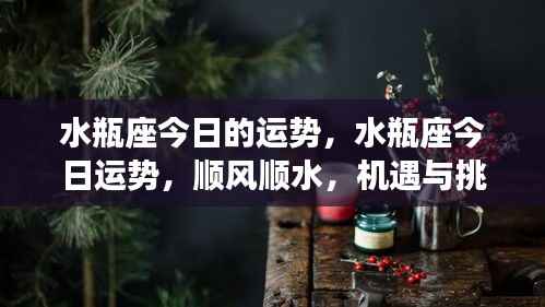 水瓶座今日运势,顺风顺水遇挑战并存,机遇与挑战并存的一天