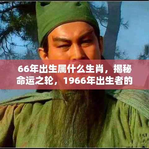 揭秘命运之轮,1966年出生者的生肖运势解析与生肖属性揭晓