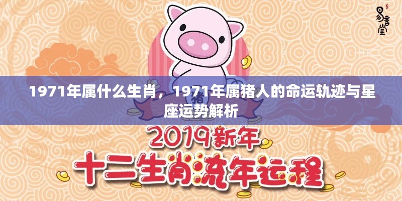 1971年属猪人的命运与星座运势解析,生肖与星座交织的运势轨迹