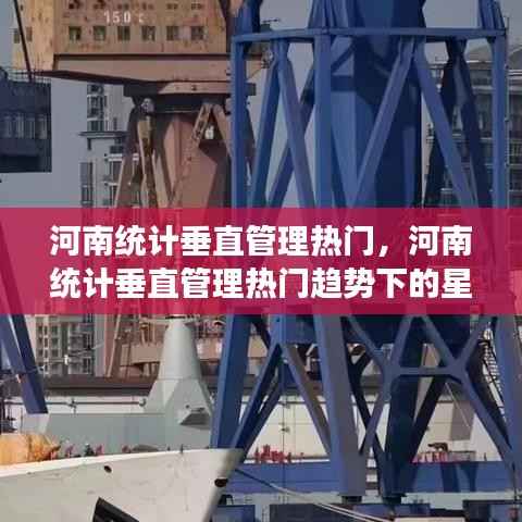 河南统计垂直管理热门趋势下的星座运势解读与探讨