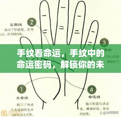 手纹揭示命运密码,探索未来之路的奥秘